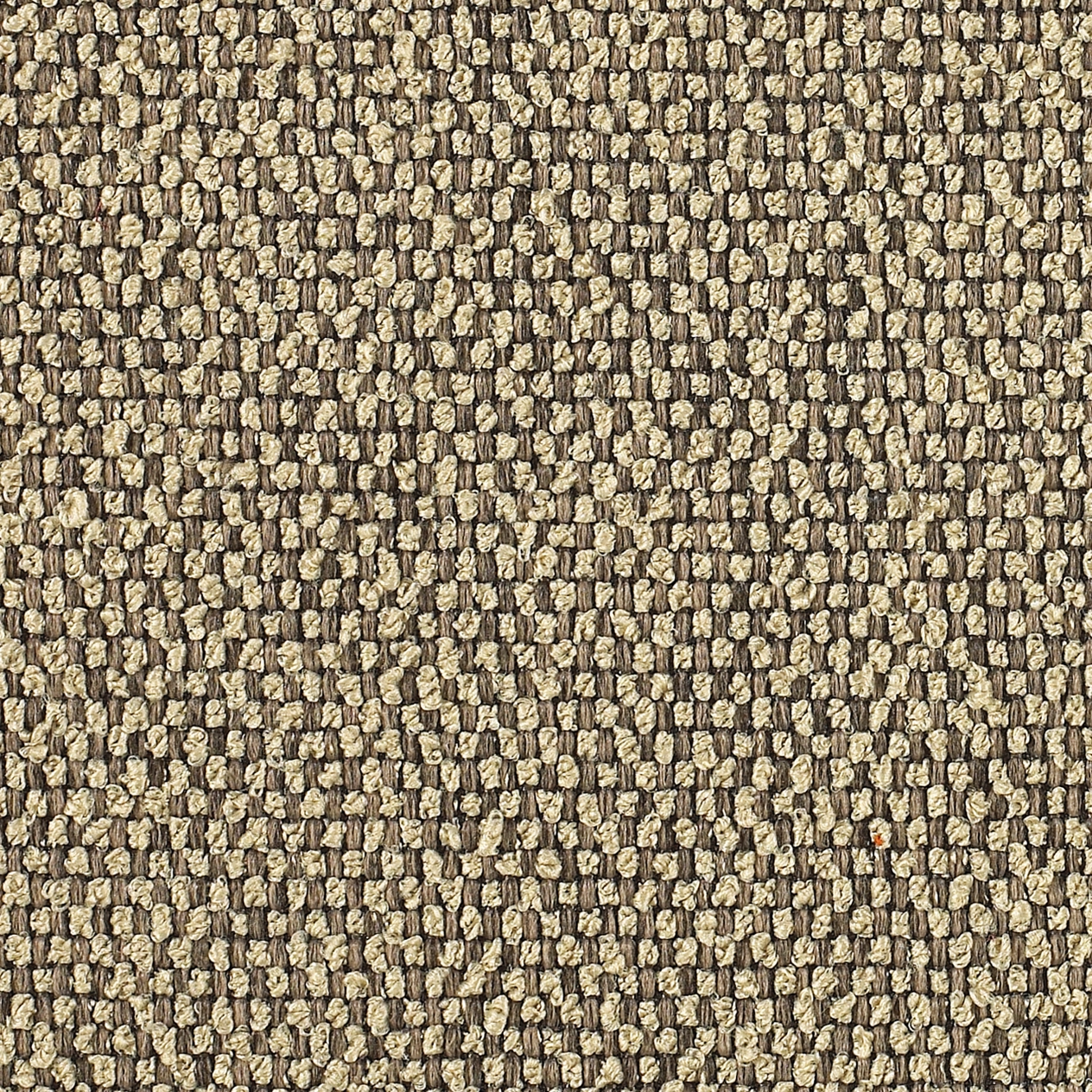 Momentum__Beta__FabricProduct