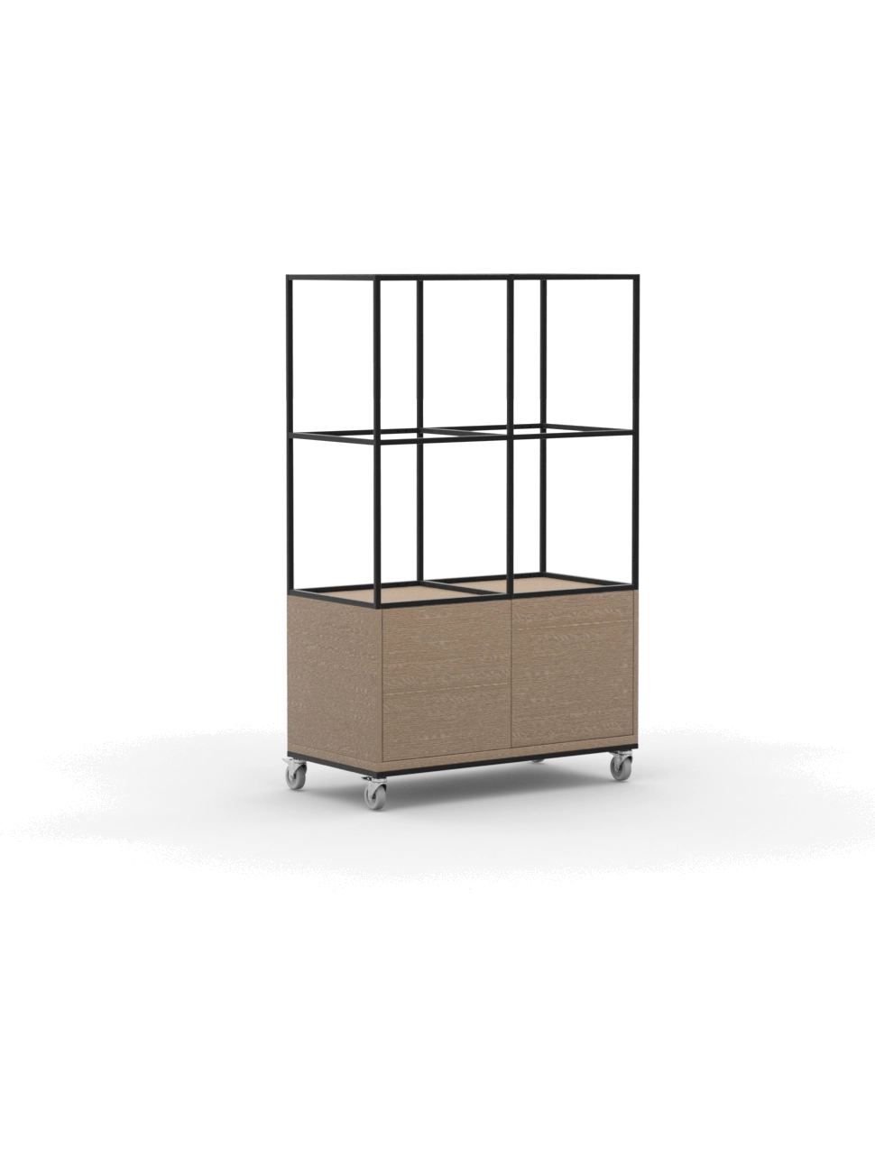 CRT2H2BMS-KD / Ladder on Mobile Storage