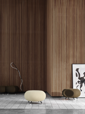 Pebble_Mood_Image_02 copy.jpeg