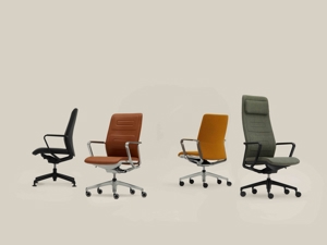 Qdos_Mood_Image_34 copy 2.jpeg