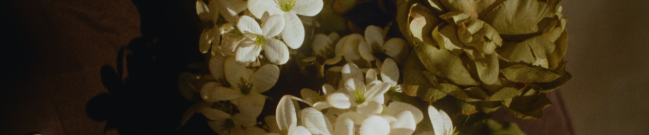 Allermuir_ComingSoon_Banner_Spring26